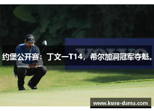 约堡公开赛：丁文一T14，希尔加洞冠军夺魁。